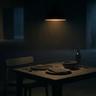 A single dark minimalist pendant lamp hangs directly over a solitary wooden table, casting a soft, dim pool of warm amber light over an empty plate, bowl, glass, and a folded menu. The surrounding environment is enveloped in heavy, desaturated shadows of deep charcoal and midnight blue, suggesting a vast, quiet, and slightly melancholic space. The image has a rich film grain texture and a soft-focus lens effect, evoking a restrained and contemplative atmosphere without any modern technology.